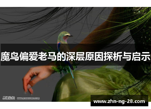 魔鸟偏爱老马的深层原因探析与启示 魔鸟偏爱老马的深层原因探析与启示