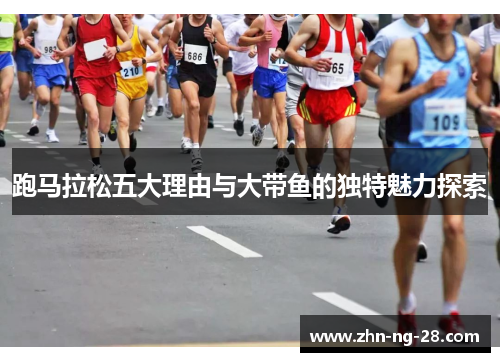 跑马拉松五大理由与大带鱼的独特魅力探索